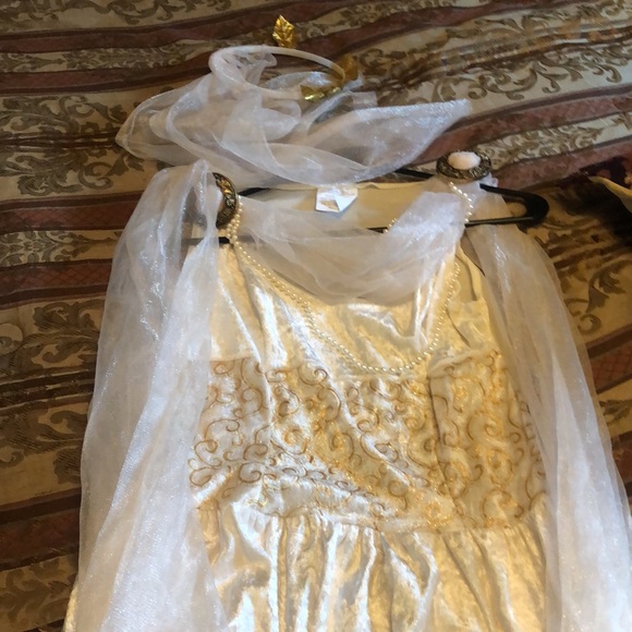 Roman dress with gold leaf laurel headpiece - never worn - stretchy 8 to 12 size - Picture 7 of 7